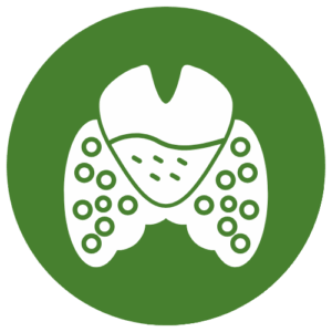 甲状腺 透明背景标识